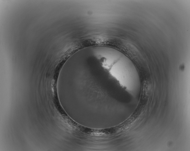 X0000094340650200711091430