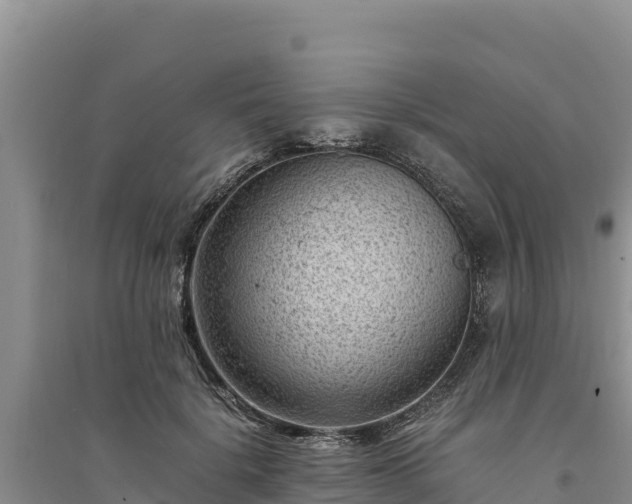X0000094340652200711091430