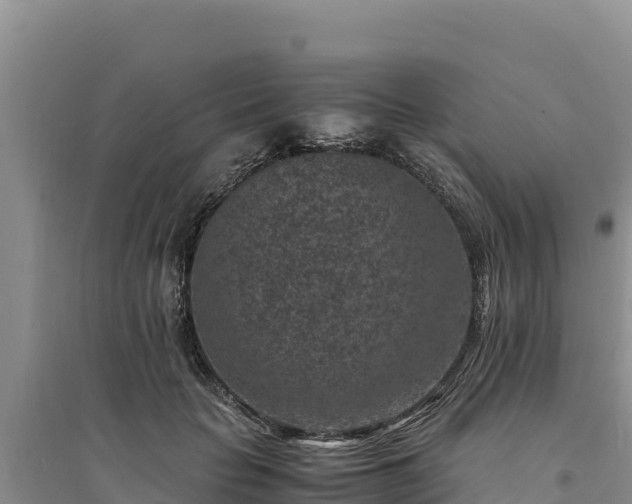X0000094340653200711091430