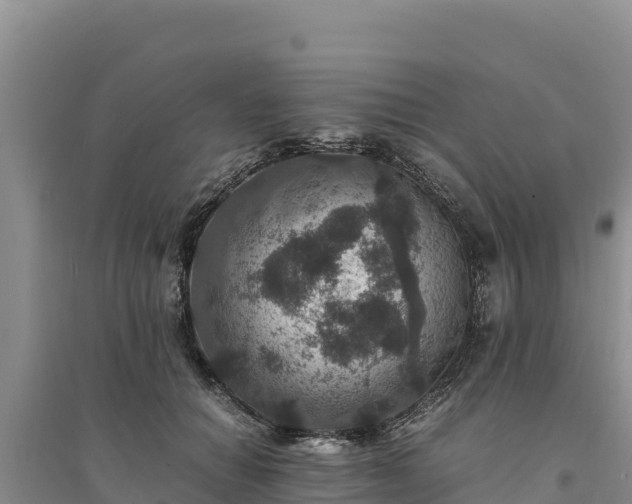 X0000094340654200711091430