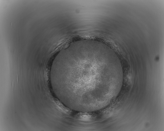 X0000094340658200711091430