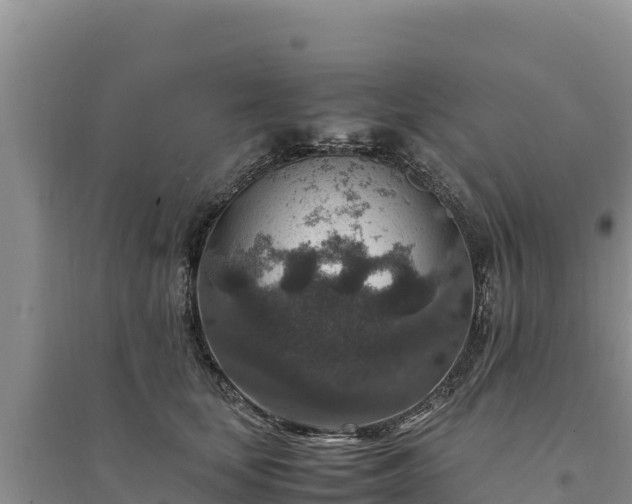 X0000094340659200711091430