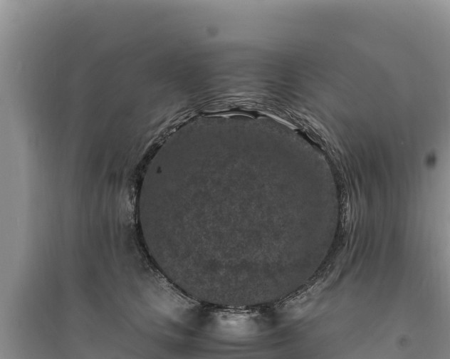 X0000094340661200711091430