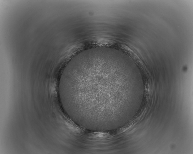 X0000094340663200711091430