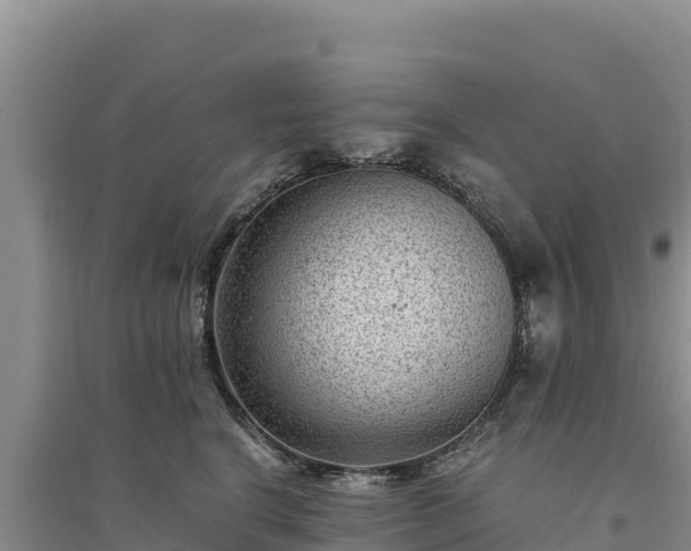 X0000094340664200711091430