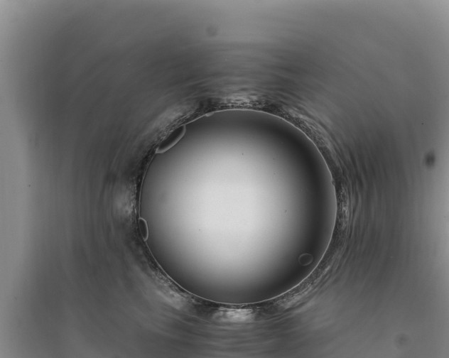X0000094340665200711091430