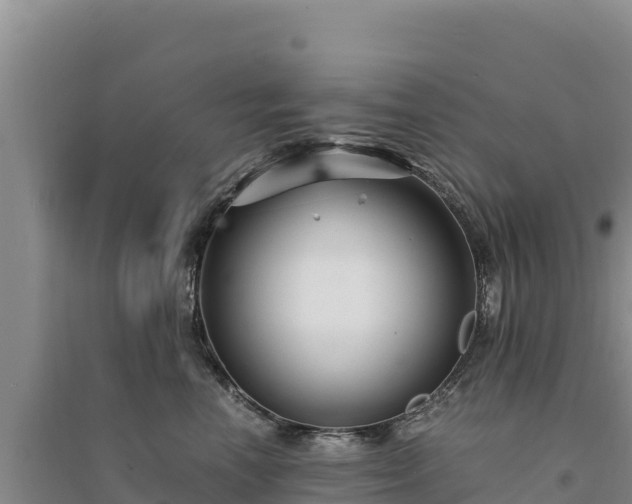 X0000094340666200711091430