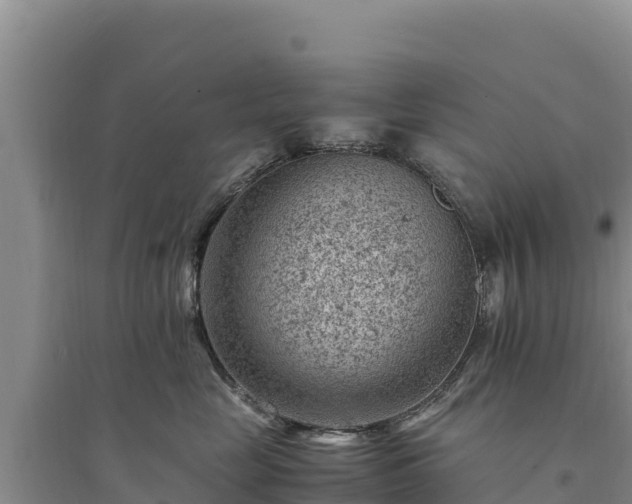 X0000094340669200711091430