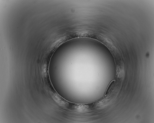 X0000094340670200711091430