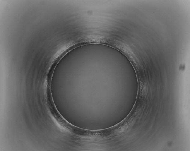 X0000094340674200711091429