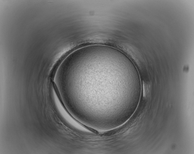 X0000094340675200711091429