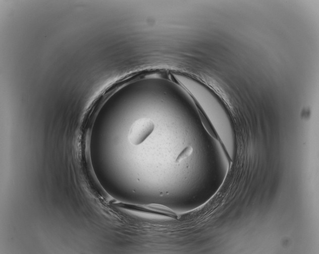 X0000094340676200711091429