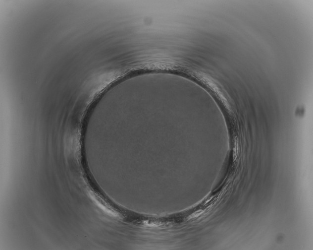 X0000094340677200711091429