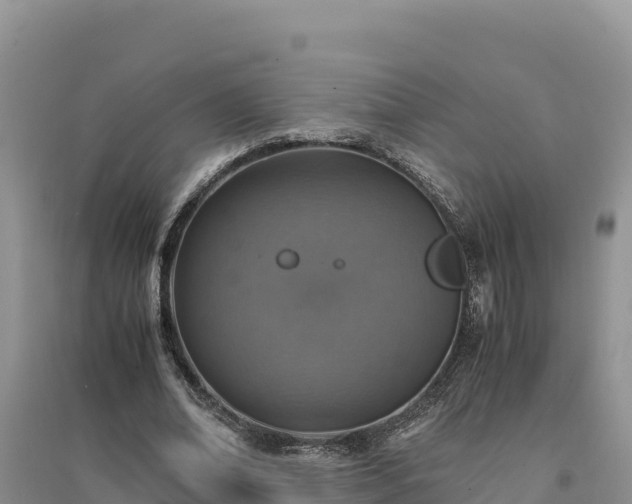 X0000094340678200711091429