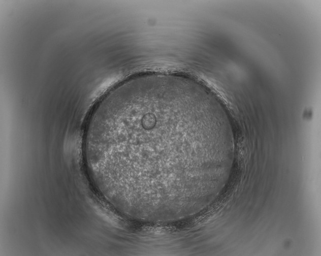 X0000094340679200711091429
