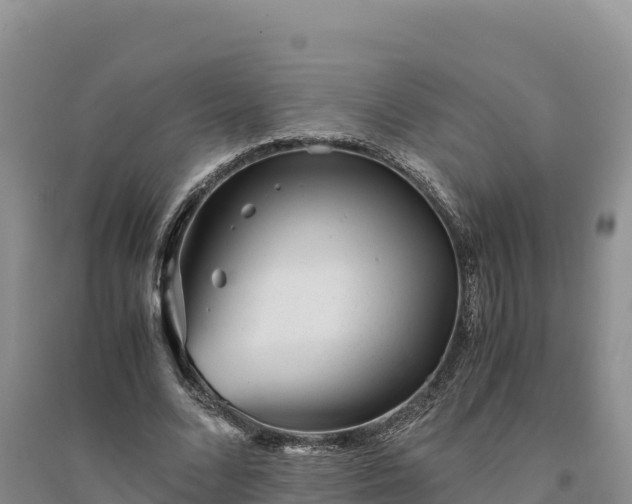 X0000094340680200711091429