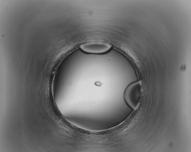 X0000094340681200711091429
