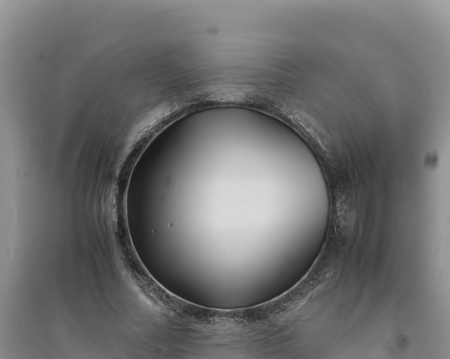 X0000094340682200711091429