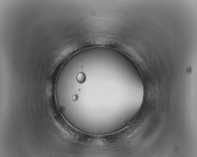 X0000094340683200711091429