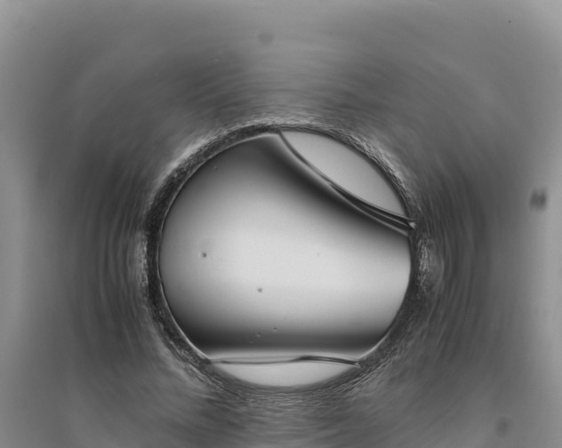 X0000094340684200711091429