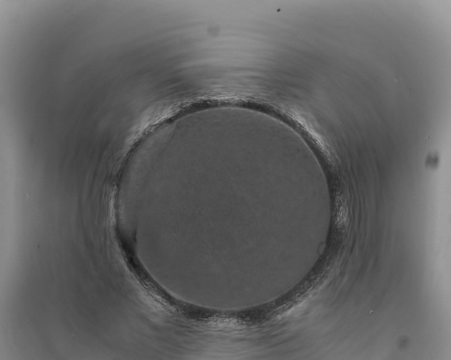X0000094340685200711091429