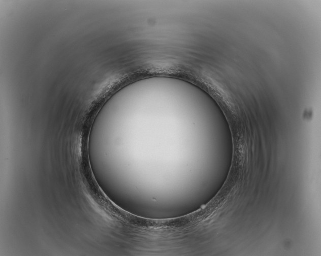 X0000094340686200711091429