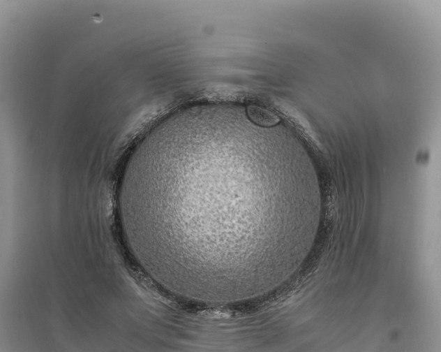 X0000094340687200711091429