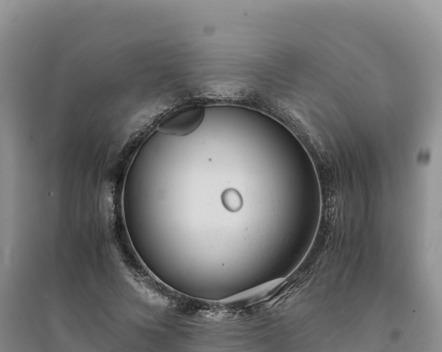 X0000094340688200711091429
