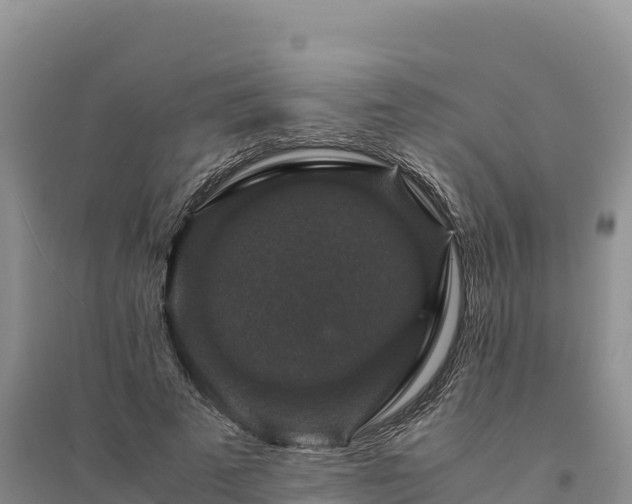 X0000094340689200711091429