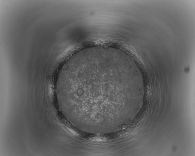 X0000094340691200711091429