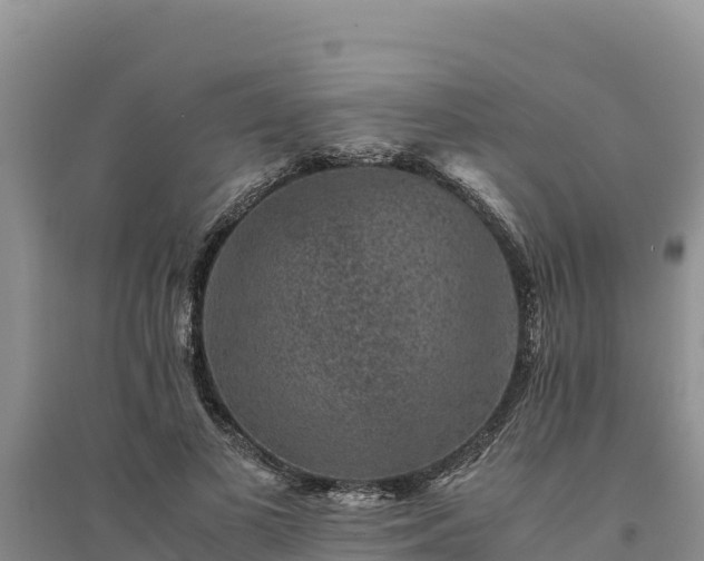 X0000094340693200711091429