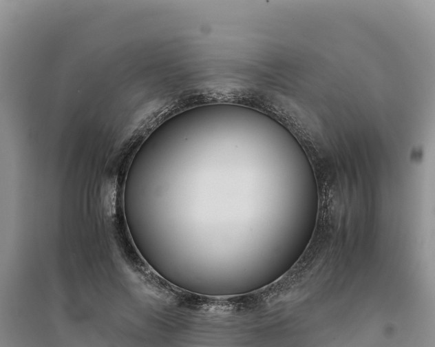 X0000094340694200711091429