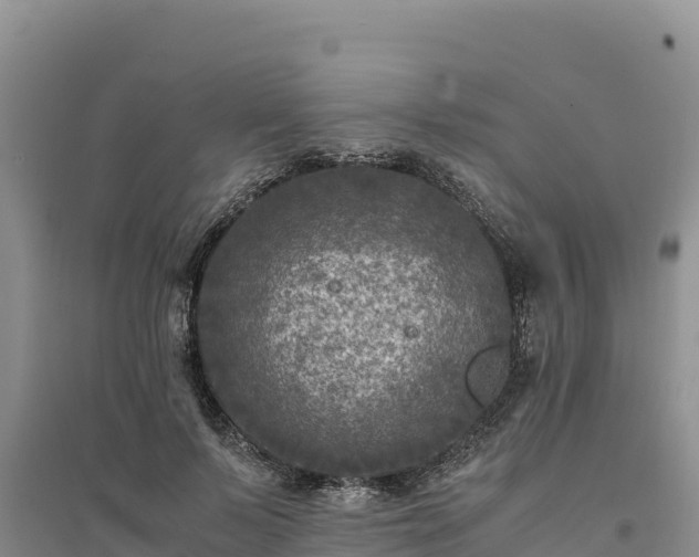 X0000094340695200711091429