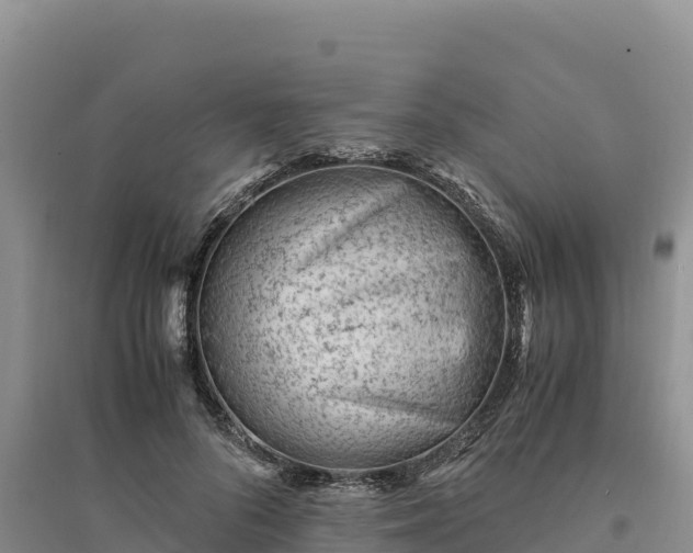X0000094340696200711091429