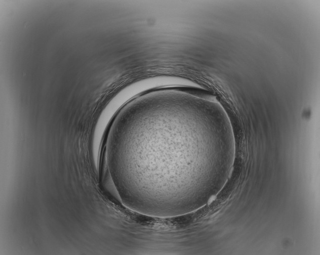X0000094340697200711091429