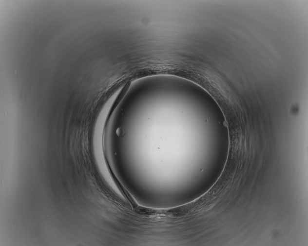 X0000094340700200711091429
