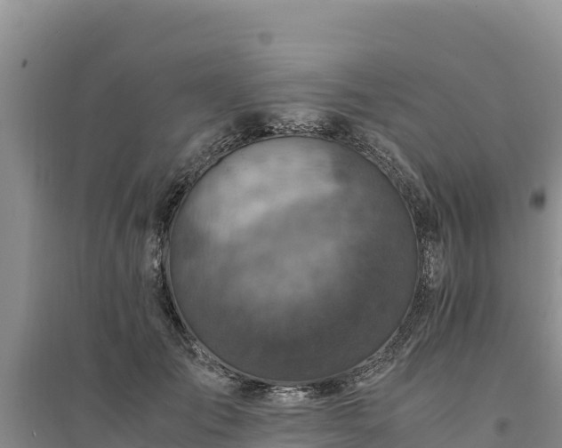 X0000094340701200711091429