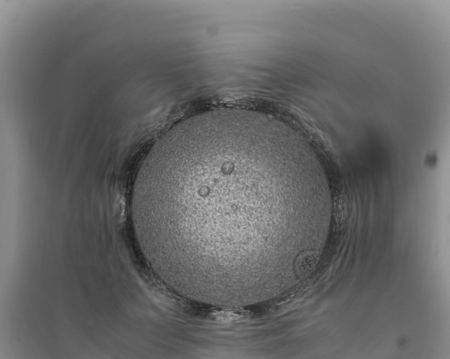 X0000094340703200711091429