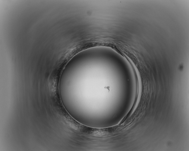 X0000094340708200711091429