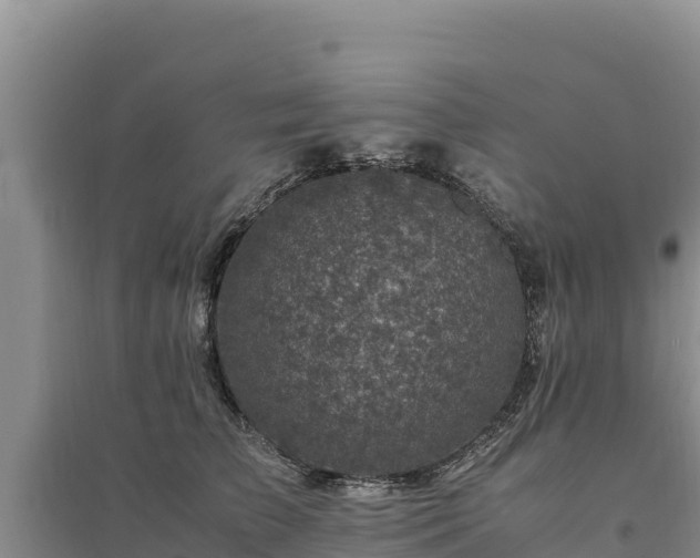 X0000094340709200711091429