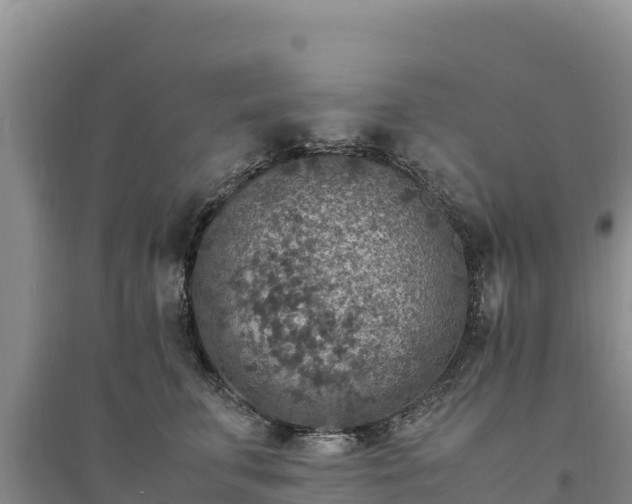 X0000094340711200711091429