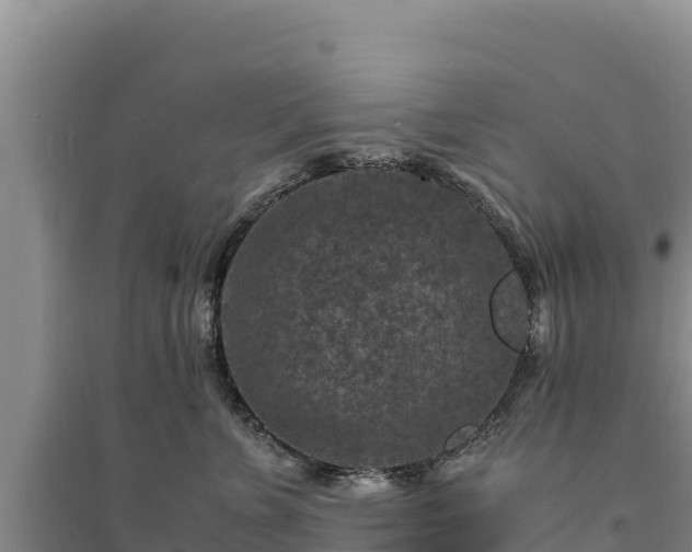 X0000094340715200711091429