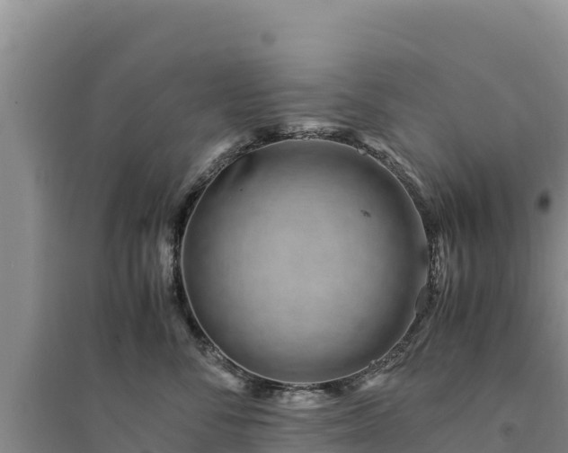 X0000094340716200711091429
