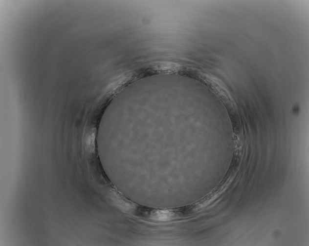 X0000094340717200711091429