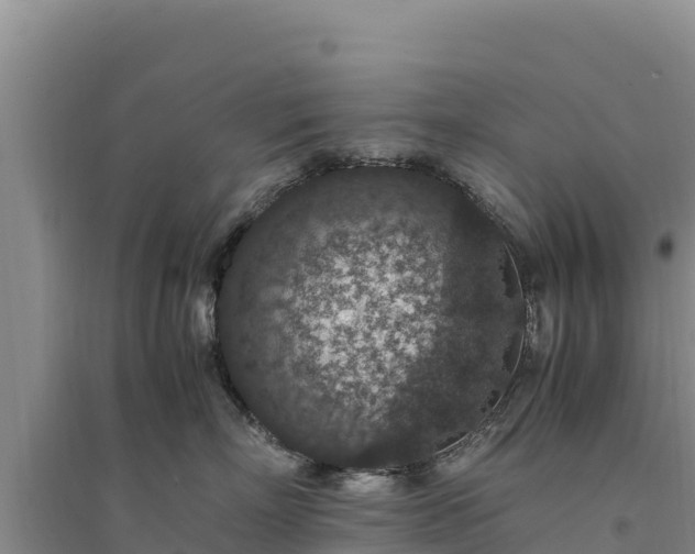 X0000094340718200711091429