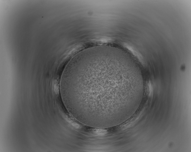 X0000094340719200711091429
