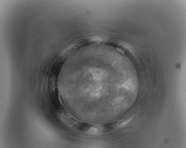 X0000094340720200711091429