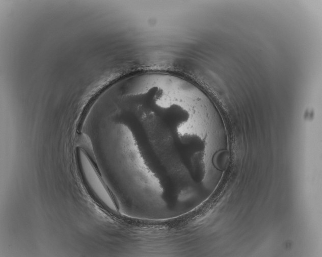 X0000094340721200711091428
