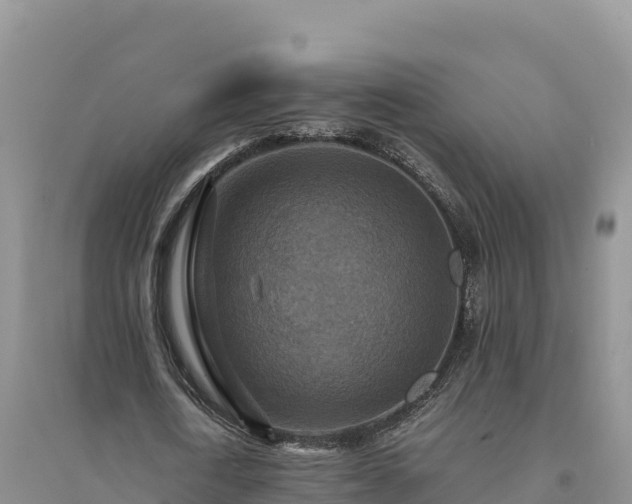 X0000094340722200711091428