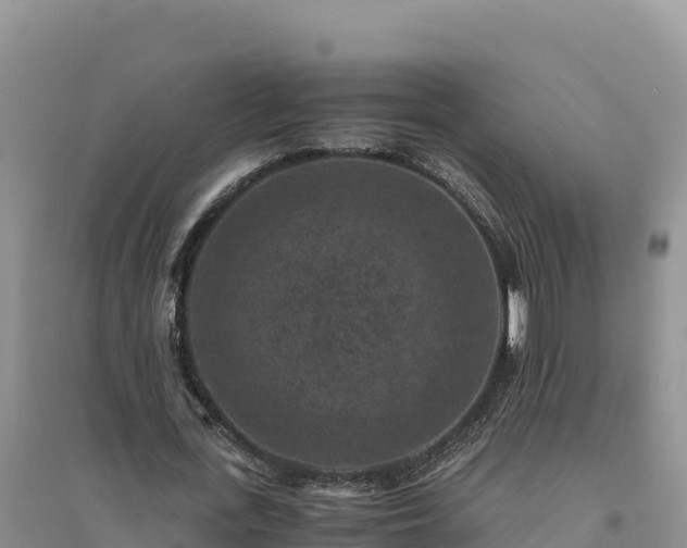 X0000094340723200711091428